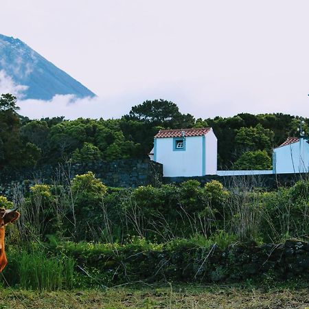 Casa Do Paim Villa São Roque do Pico Екстериор снимка