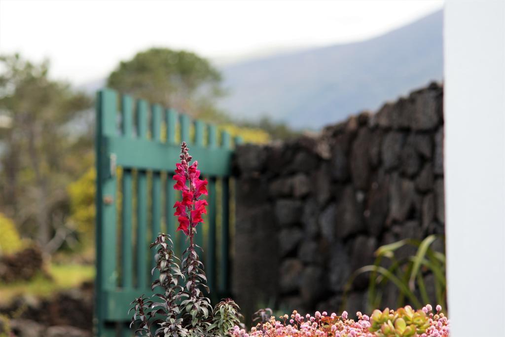 Casa Do Paim Villa São Roque do Pico Екстериор снимка