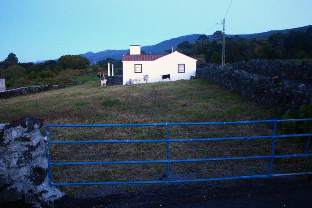 Casa Do Paim Villa São Roque do Pico Екстериор снимка