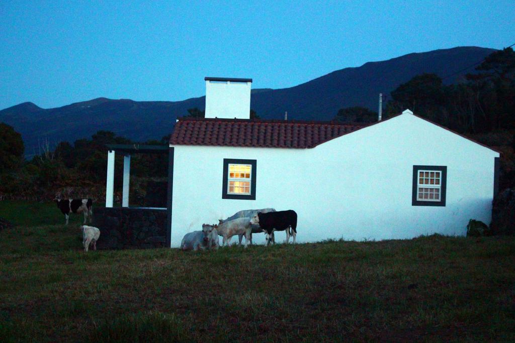 Casa Do Paim Villa São Roque do Pico Екстериор снимка