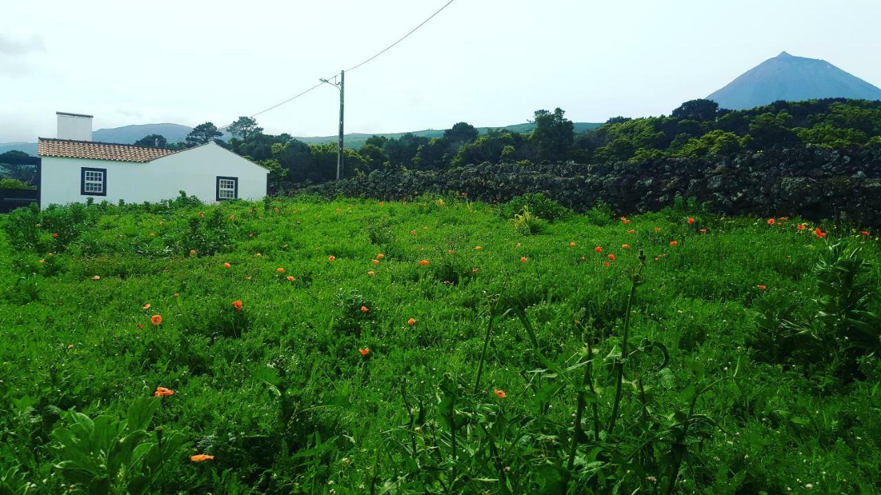 Casa Do Paim Villa São Roque do Pico Екстериор снимка